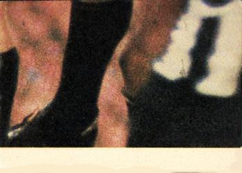 1980 Scanlens VFL #74 Garry Wilson Back